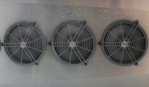 Wärmepumpe im Blumenladen